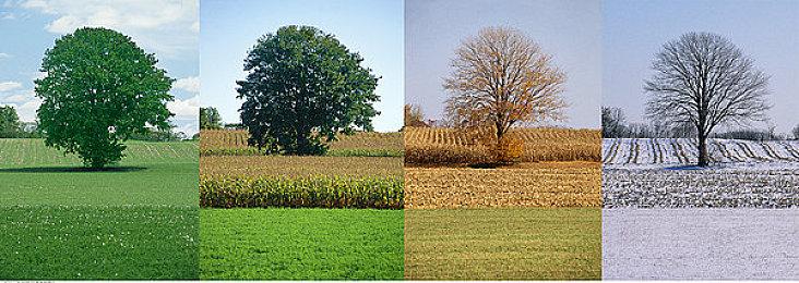 官宣延期后 《暗黑破坏神4》第二赛季现已上线